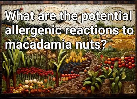 What Are The Potential Allergenic Reactions To Macadamia Nuts