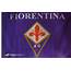 Fiorentina Official Flag