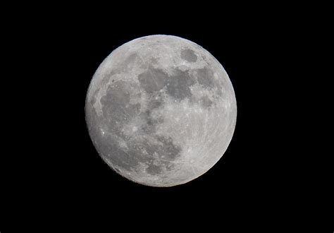 A gallery curated by flickr. Look for the Full Wolf Moon Before January is Over
