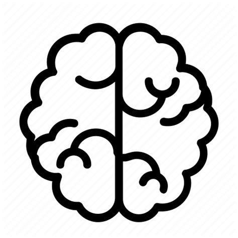 Brain Png Svg Transparent Background To Download Images