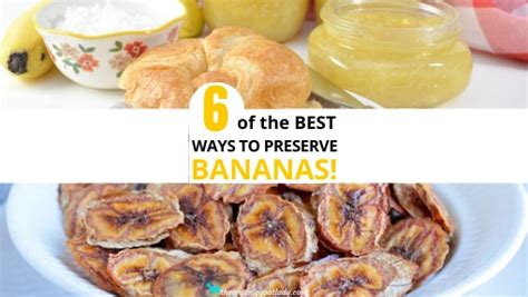 6 Ways To Preserve Bananas The Organic Goat Lady