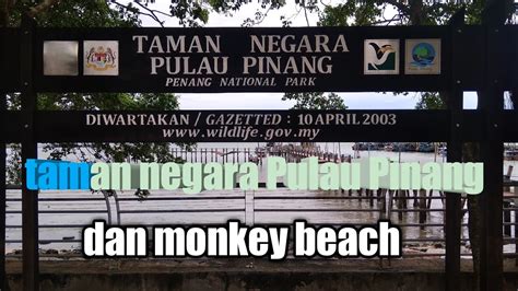 Member add partner send message. trek hutan taman negara Pulau Pinang ke monkey beach - YouTube