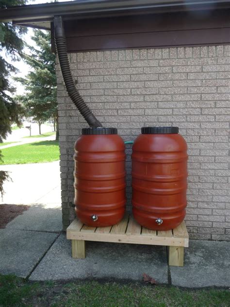 Picture Of My Dual Rain Barrels On The Side Of The House Water