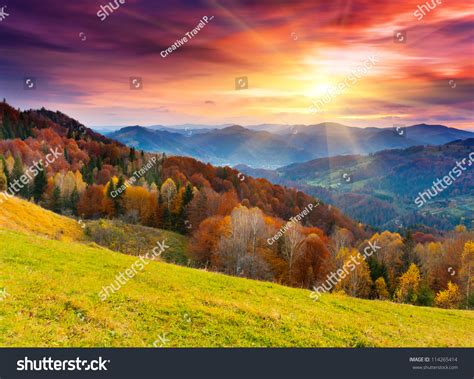 Mountain Autumn Landscape Colorful Forest Stock Photo 114265414