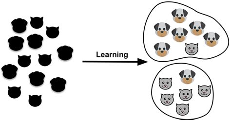 1 An Example Of A Supervised Learning Classification Of Cats And