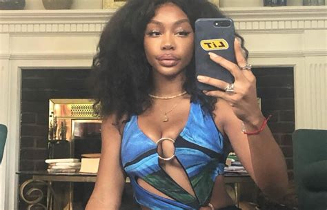 randb singer sza claims her body is natural with no bbl surgery page 2 blacksportsonline