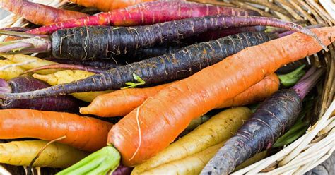 13 Of The Best Carrot Varieties To Grow At Home Gardeners Path
