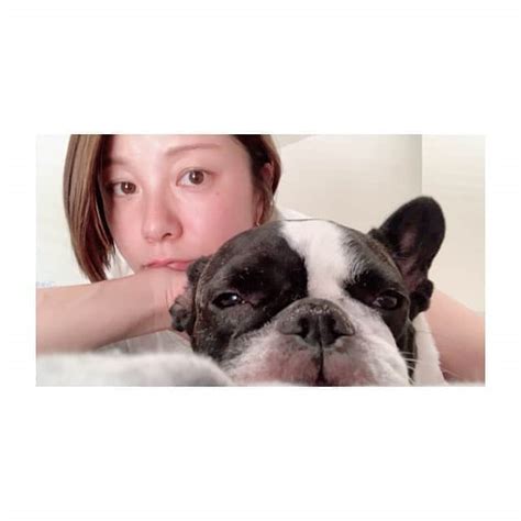 田中美保さんのインスタグラム写真 田中美保instagram「束の間のモフちゃんタイムなのにモフちゃん迷惑そう😂 いっっっつも忙しい時にすごいじゃれてくるのに 時間ができて遊ぼ