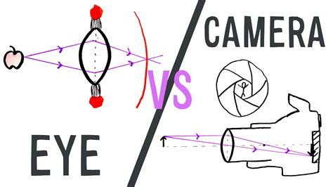 Eye vs Camera | GCSE Physics | Doodle Science - YouTube