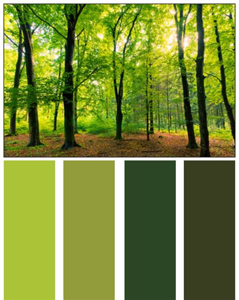 Forest Green Color Combinations Celina Waterman