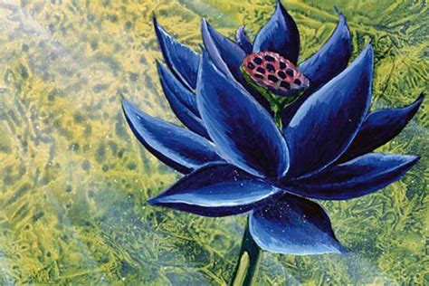 Magic the gathering black lotus unlimited card! Magic: The Gathering Black Lotus card sells for $511,100 at auction - Polygon