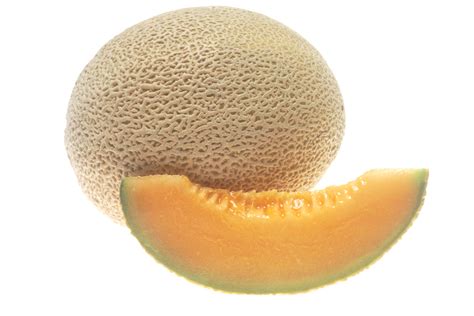 Melon Growing And Harvest Information