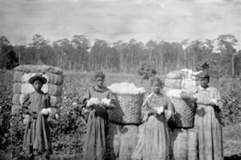 Ausetkmt Droppin Real Truth Tterren Slave Women On The Cotton Plantation