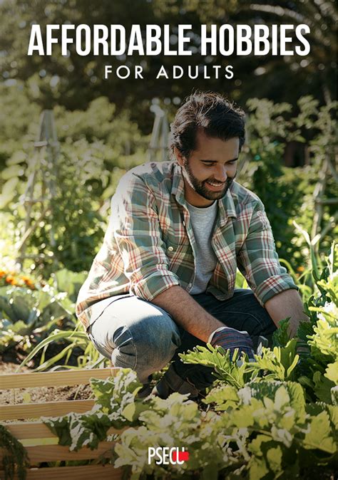 Affordable Hobbies for Adults - PSECU