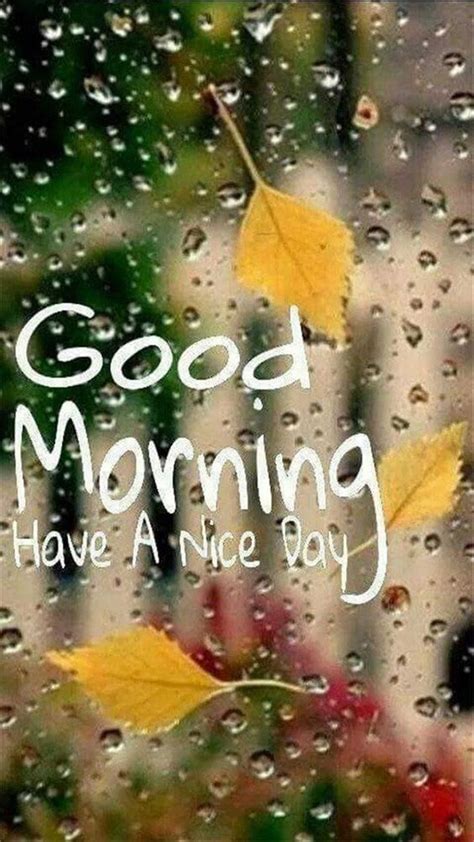 Good Morning Quotes And Wishes With Beautiful Images Good Morning Rainy Day Funny Good