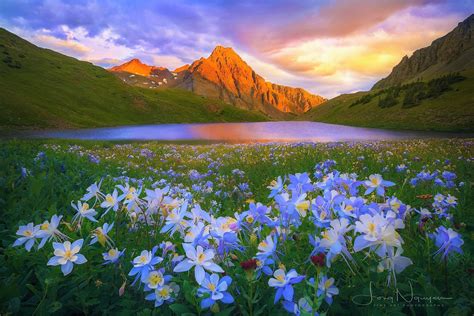 Springtime In The Moutains By Long Nguyen