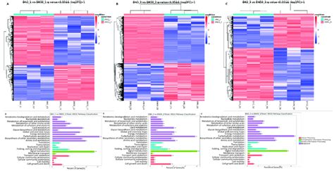 Differential Gene Expression Transcriptome Analysis A C Hierarchical Download Scientific