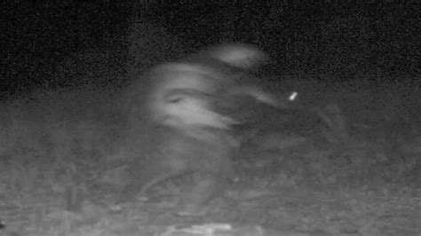 Real Skinwalker Caught On Tape On Trail Cam Coub The Biggest Video