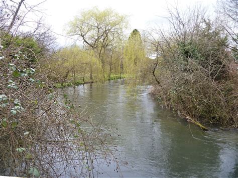 The River Kennet 2 © Michael Dibb Geograph Britain And Ireland