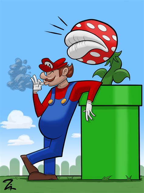 Chilling Mario Behance