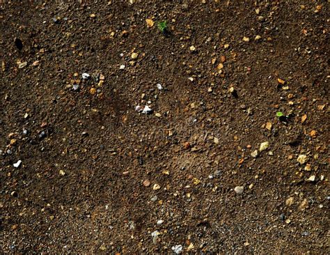 An Brown Earth Ground Texture Stock Image Image Of Surface Ground