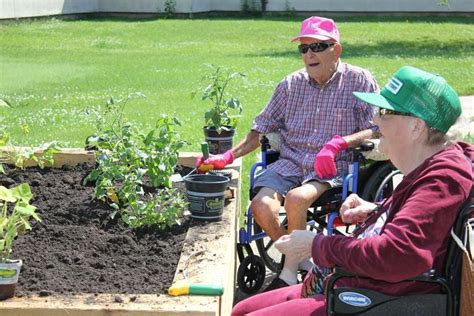 Gardening Therapy For Veterans In Manteno Local News Daily