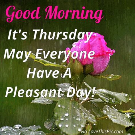 Good Morning Its Thursday May Everyone Have A Pleasant Day Funny