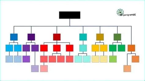 Plantillas De Organigramas En Blanco 2024 “gratis”