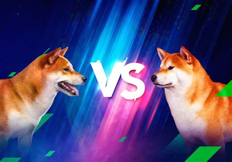 Shib Vs Doge Which Dog To Back In This Fight Stormgain