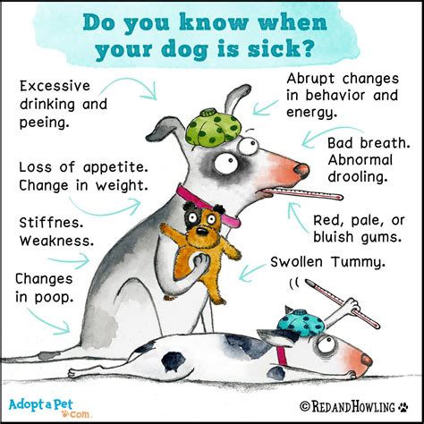 For example, the dog has been dead for five years. no good without more predicate: How to tell if your dog is sick : coolguides