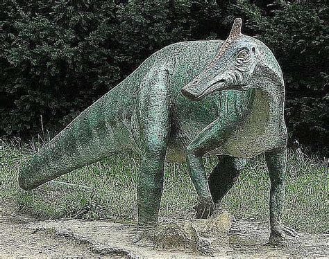 Pictures And Profiles Of Duck Billed Dinosaurs