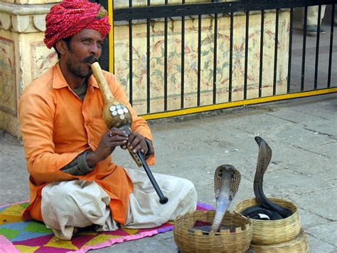 All Sizes India Snake Charmer Dscn0224 Flickr Photo Sharing