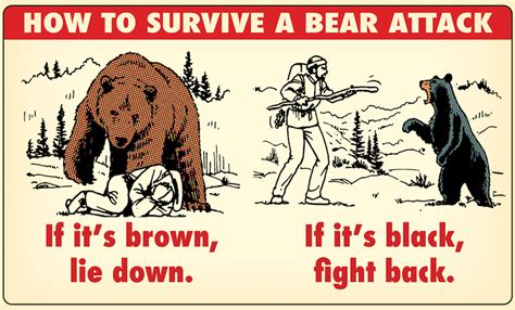 How To Survive A Bear Attack The Complete Guide Art Of Manliness
