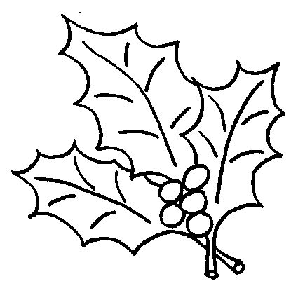 Coloriage Houx à colorier  Allofamille  Coloriage noel, Coloriage