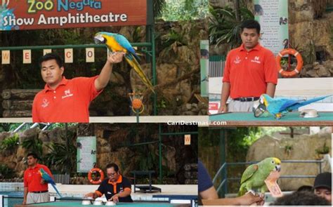 Zoo negara admission ticket (national zoo of malaysia). Tempat Menarik Untuk Dilawati di Kuala Lumpur dan Selangor ...