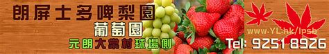 (chiefly cantonese) chelsea (district in london; 朗屏士多啤梨園