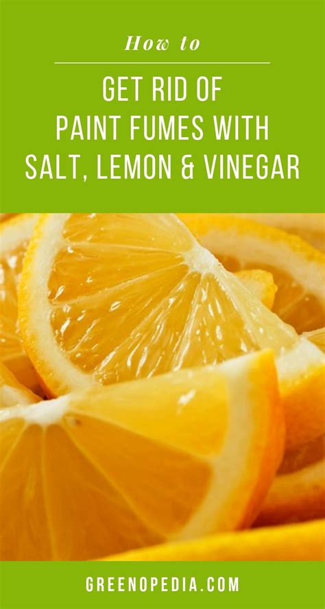For paint that dries and still has a persistent smell, try washing the walls with a mixture of 1 part bleach to 10 parts water, then rinse with plain water and a clean sponge. Get Rid of Strong Paint Fumes with Salt, Lemon, and ...