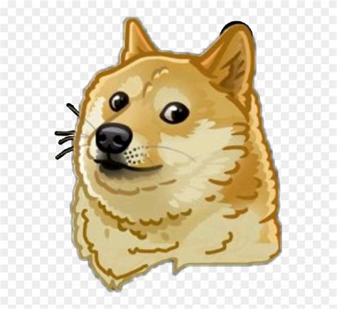 The meme typically consists of a picture of a shiba inu dog accompanied by multicolored text in comic sans font in the foreground. Doge Meme Dog Doggo Funny Sticker Momo Png Meme Mlg - Doge ...