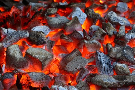 Free Barbecue Charcoal Stock Photo