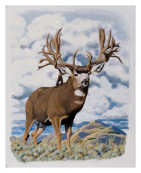 Faria Nevada Nontypical Mule Deer Painting By Darcy Tate Pixels