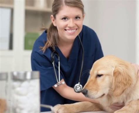 Veterinary Assistant Qvcc