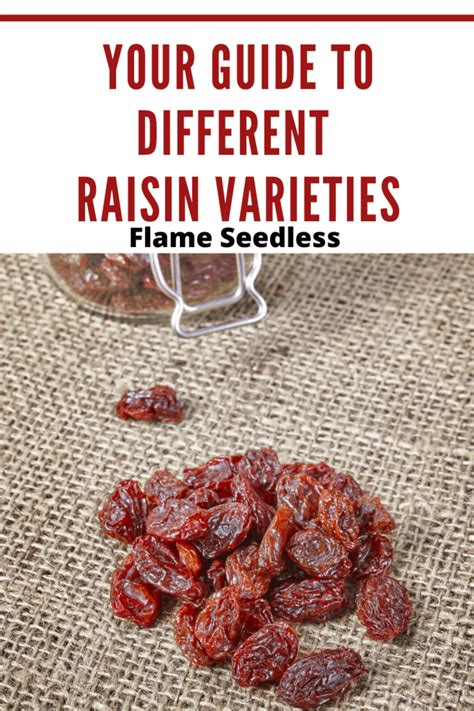 Your Guide To The Different Raisin Varieties Mom S Memo