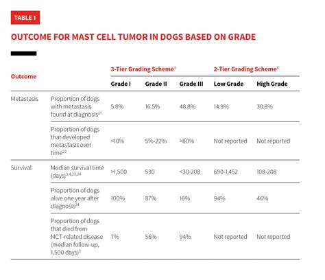 Tumor Grading And Staging In Dogs Clinicians Brief