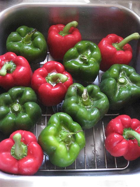Maybe you would like to learn more about one of these? Bonz Blogz: How to Freeze Bell Peppers
