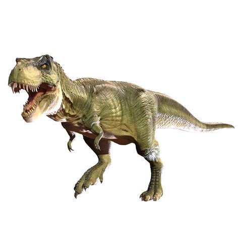Dinosaurus T Rex Uddød Gratis Billeder På Pixabay Pixabay