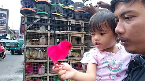 Panci masak dan sendok, warna warni belajar menggambar dan mewarnai untuk anak. Anak ayam kotek kotek Lagu Anak Indonesia | Kinara membeli ...