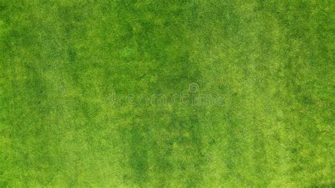 Aerial Grass Texture Background Stock Photo Image Of Green Golf
