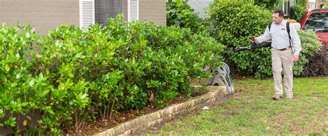 Is open and scheduling appointments for treatment. Home Pest Control Plans For Memphis, TN | Dart Pest, Lawn ...