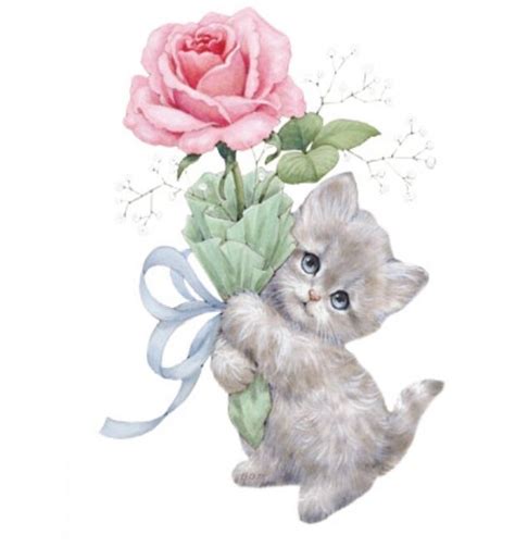 kitten holding pink rose shirt cat shirt tender kitty with blue eyes sm