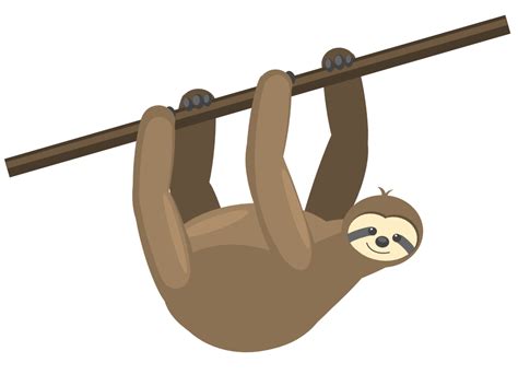Sloth Clipart Free Transparent Background Pictures On Cliparts Pub 2020 🔝